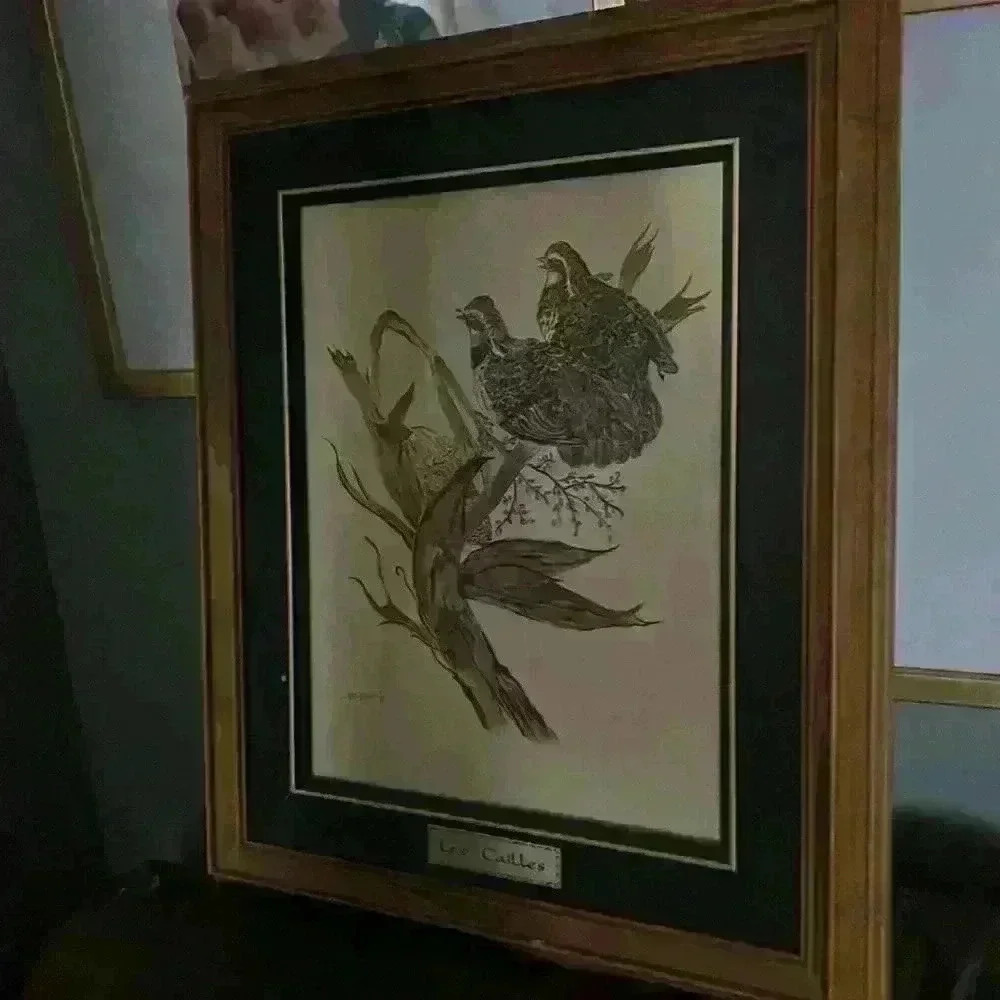 Original Oil Painting. Framed and signed with  plaque.🦤🐦
